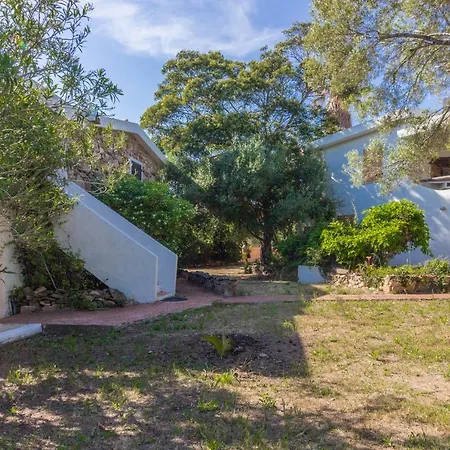Lejlighed Comfy Apt W/ Terrace - 250 M Far From The Beach