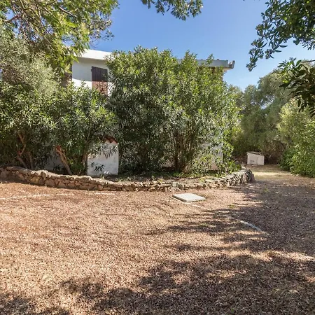 Comfy Apt W/ Terrace - 250 M Far From The Beach